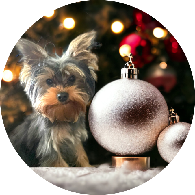 3" Custom Ceramic Ornament