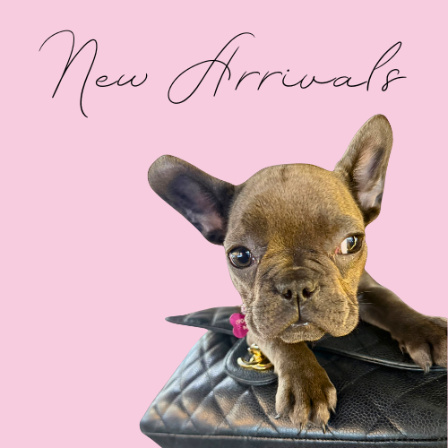 New Arrivals