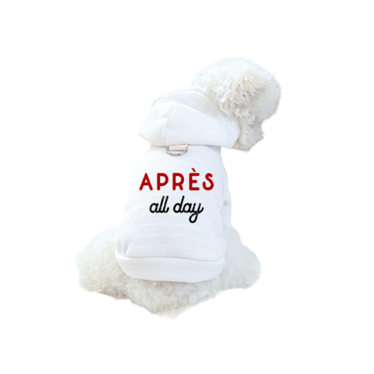 Après All Day Luxe Hoodie