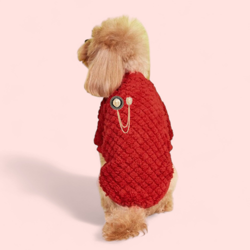 Furry Lioness Dog Sweater