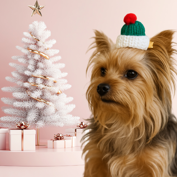 Festive Knit Pom-Pup Barrette