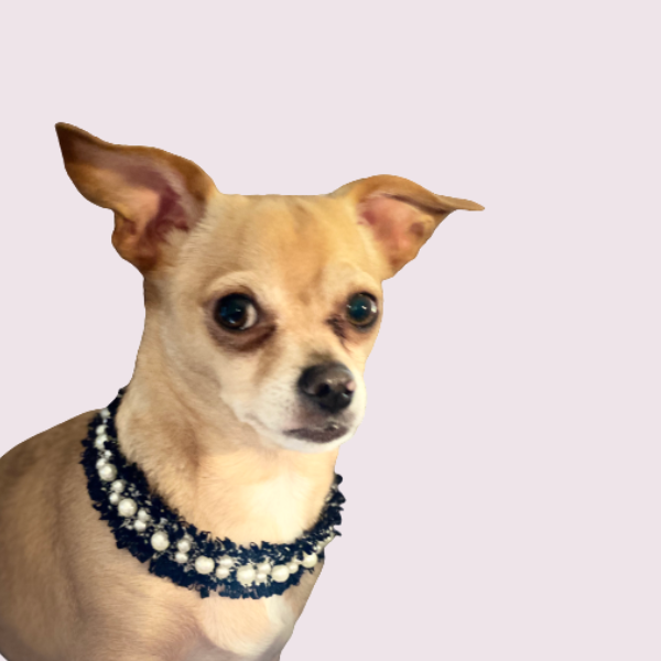 Pearl and Tweed Collar