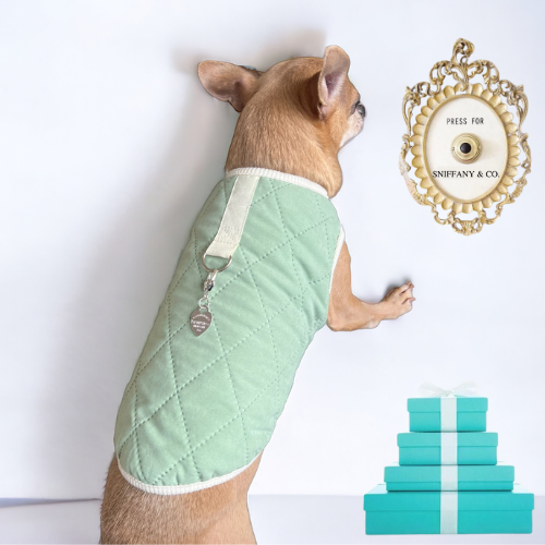 Quilted Sniffany Puff Vest- Dog Coat