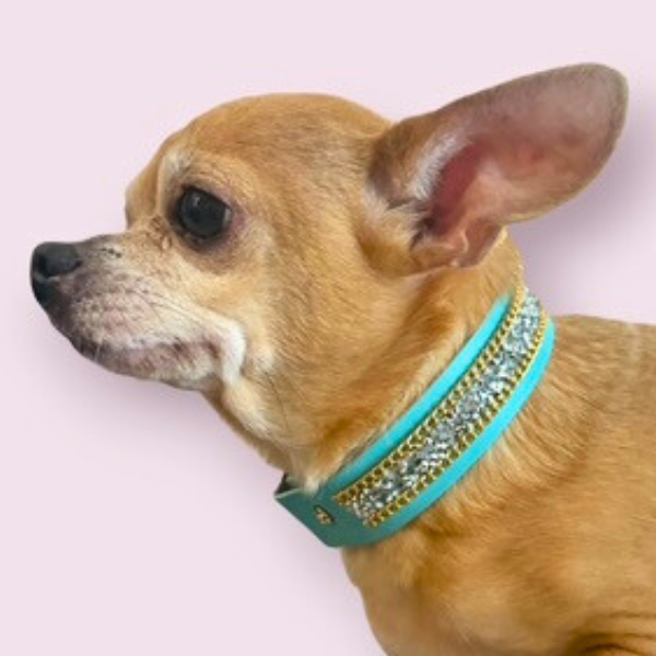 The Monte Carlo Collar in Sniffany Blue