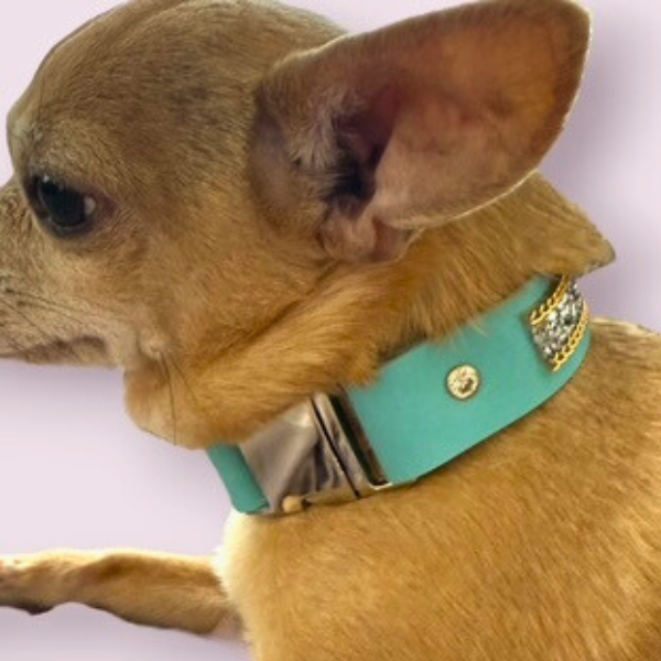 The Monte Carlo Collar in Sniffany Blue