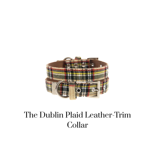The Dublin Plaid Leather-Trim Collar