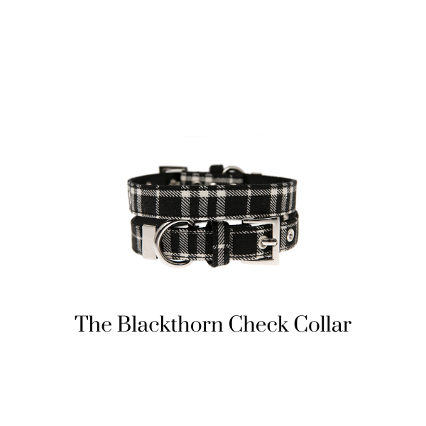 The Blackthorn Check Collar