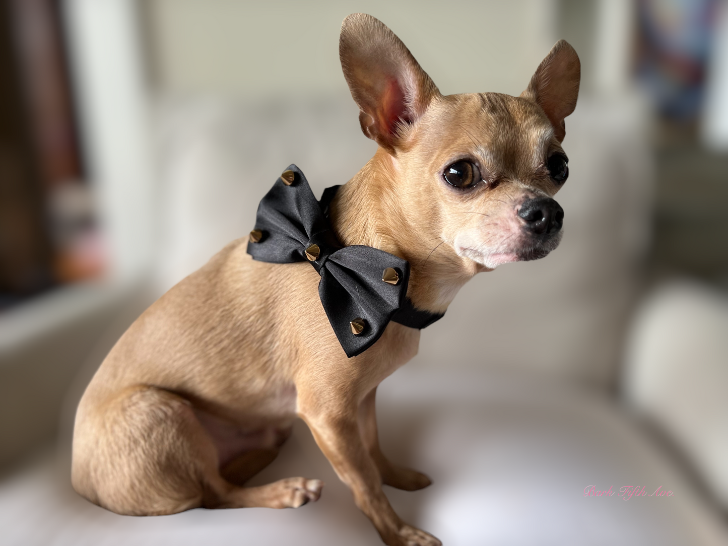 Dapper Satin Stud & Rhinestone Bowtie