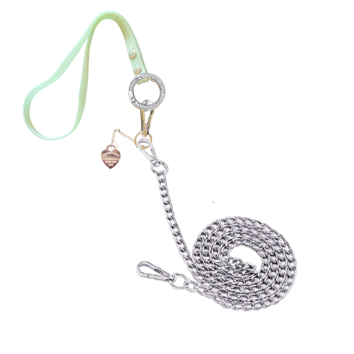 Sniffany Heart Silver Chain Dog Leash