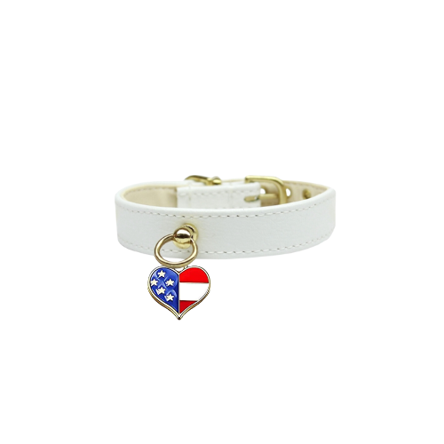Patriotic Charm Dog Collar