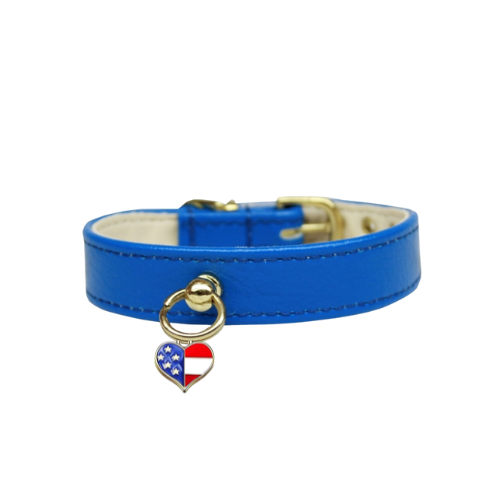Patriotic Charm Dog Collar